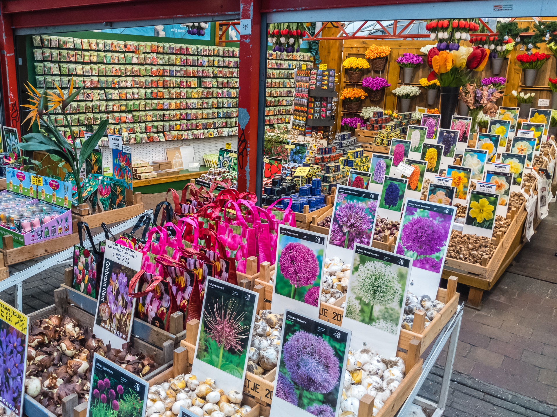 Tulip Bulbs in the Bloemenmarkt